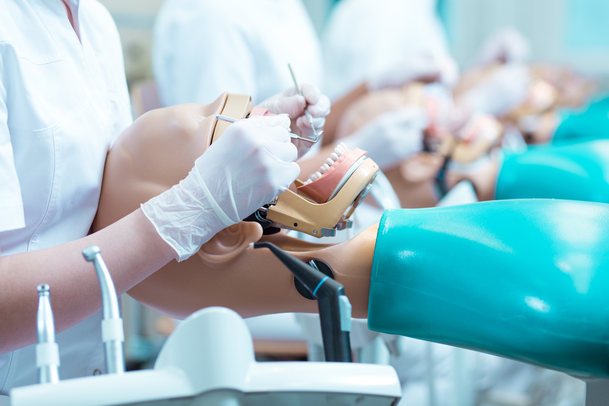 Dental training with jaw models